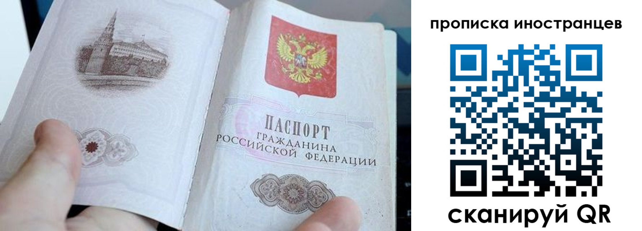 прописка поиск в Гае